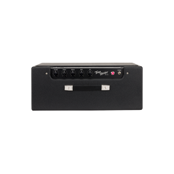 Amplificador Fender Tone Master FR-12