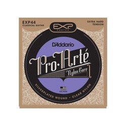D ADDARIO EXP44