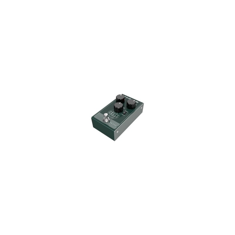 GAUSS TAPE ECHO